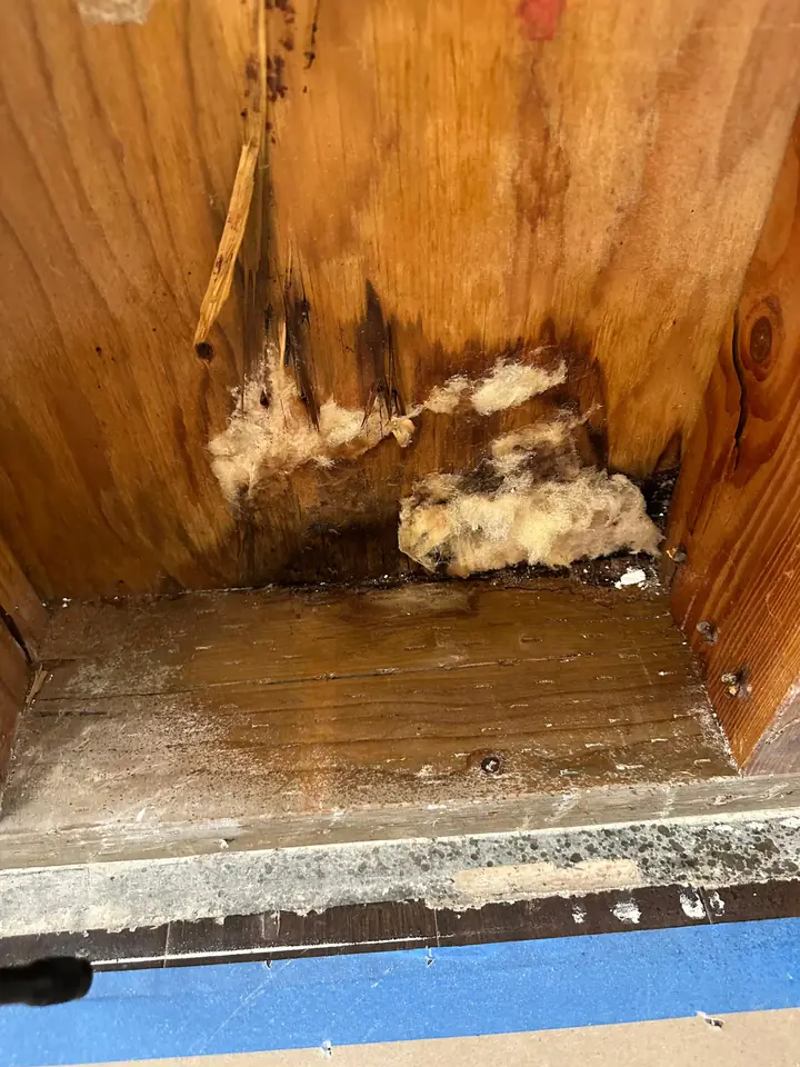 Before: Water damage repair